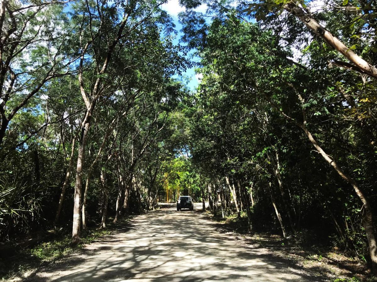 Portal Xibalba Hotel Playa del Carmen Kültér fotó